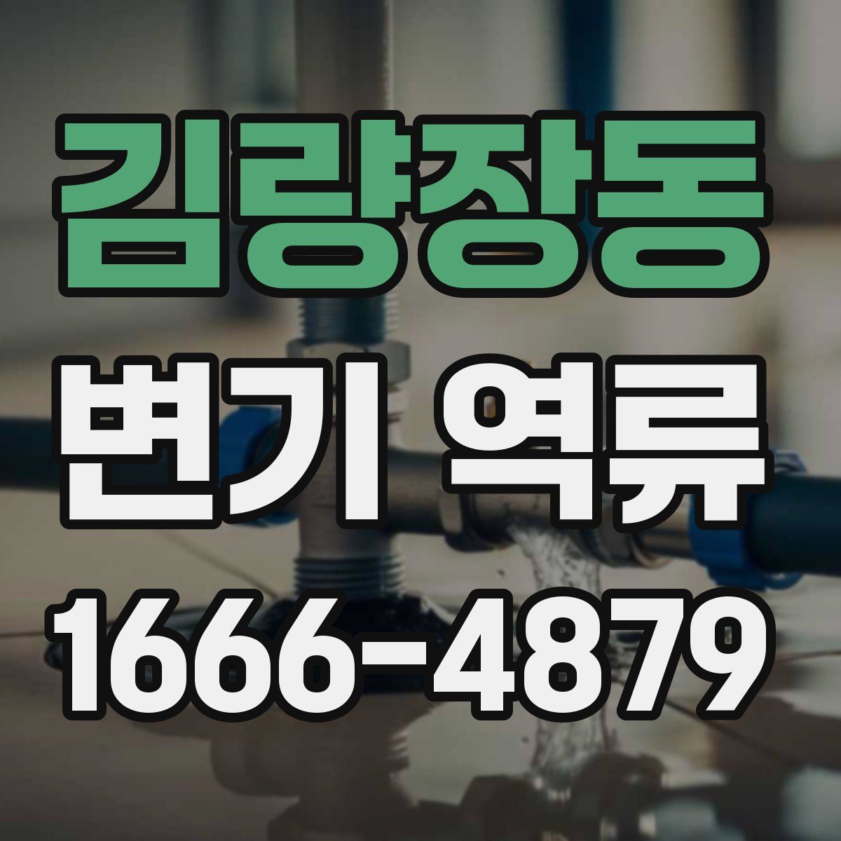 김량장동 변기 역류
