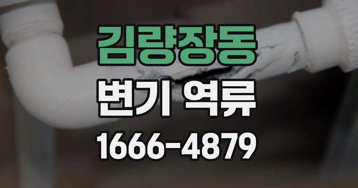 김량장동 변기 역류