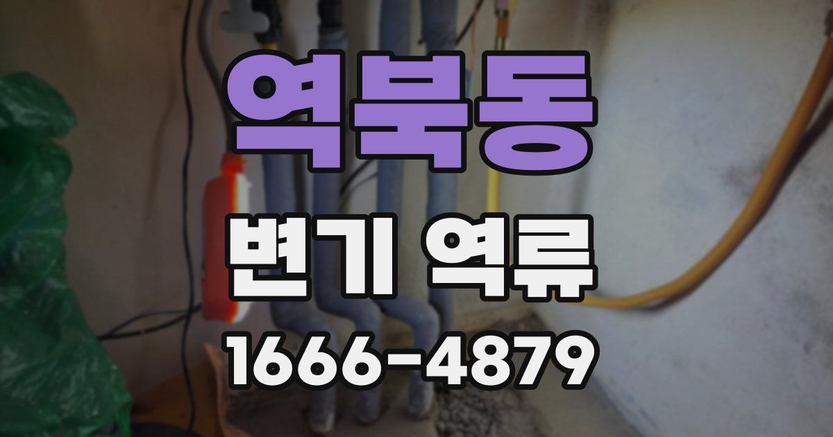 역북동 변기 역류