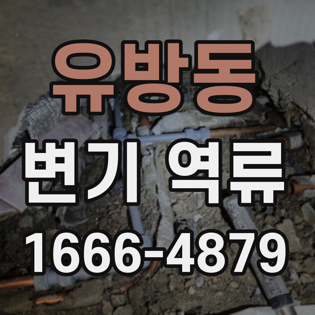 유방동 변기 역류