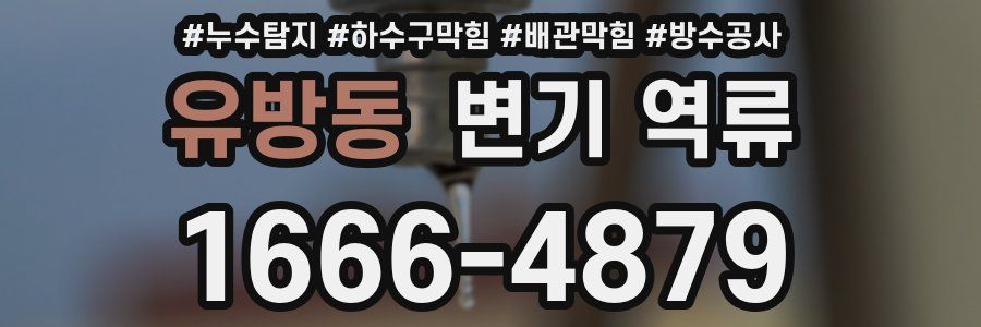 유방동 변기 역류