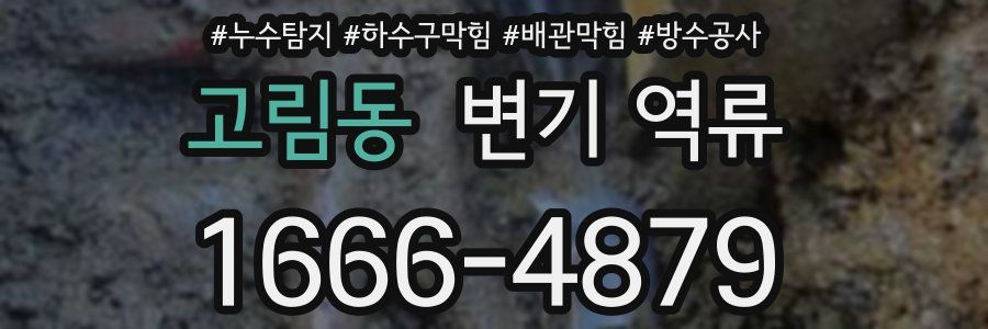 고림동 변기 역류