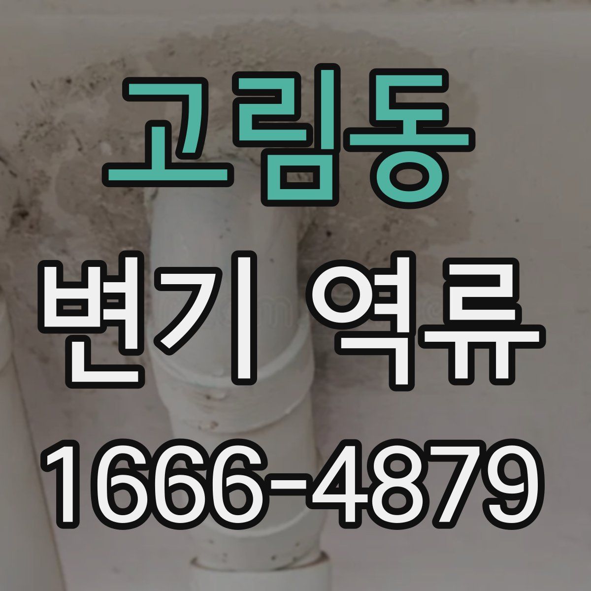 고림동 변기 역류