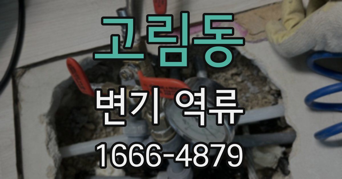 고림동 변기 역류