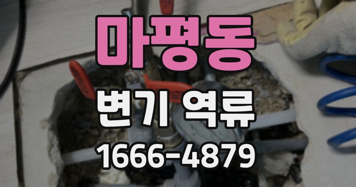 마평동 변기 역류