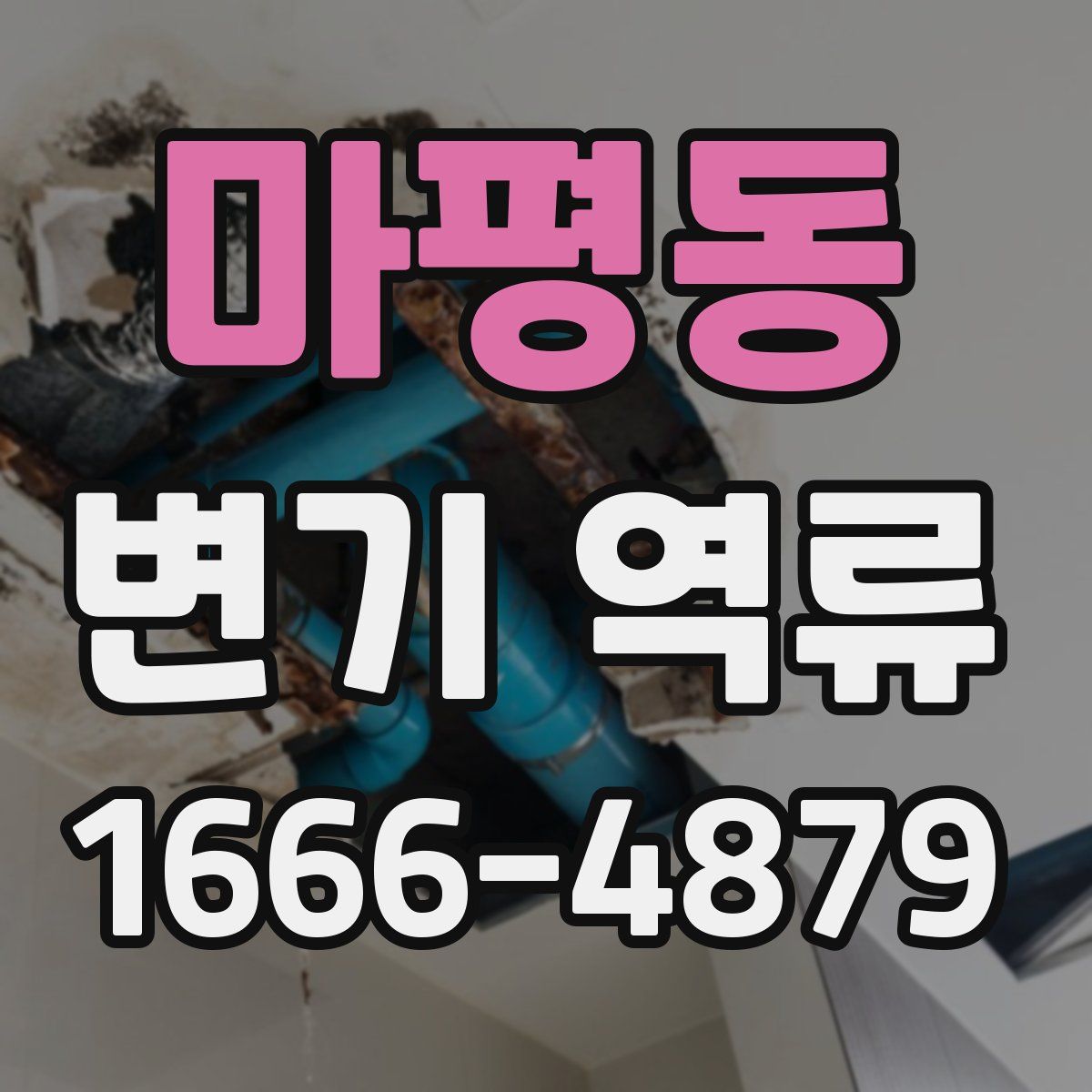 마평동 변기 역류