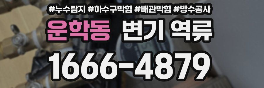 운학동 변기 역류