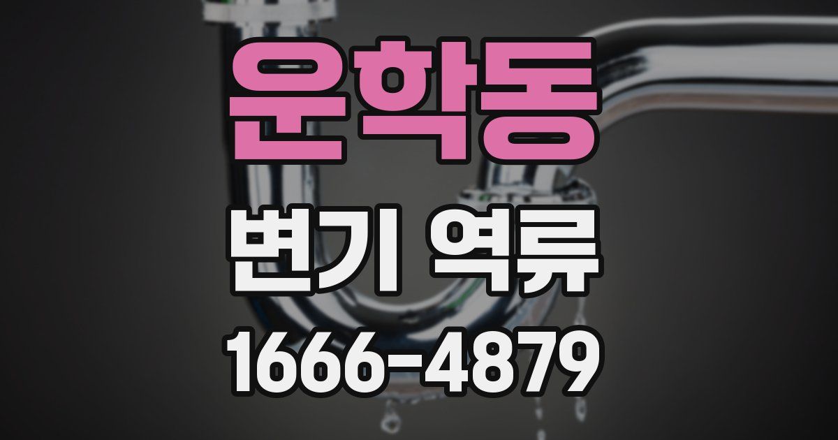 운학동 변기 역류