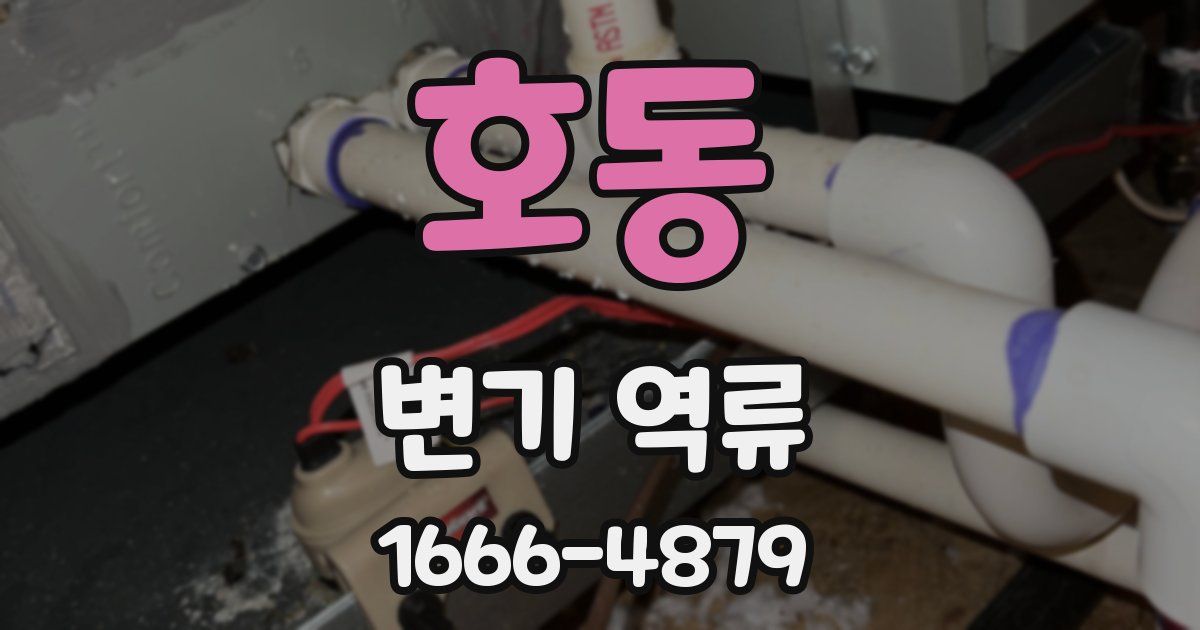 호동 변기 역류