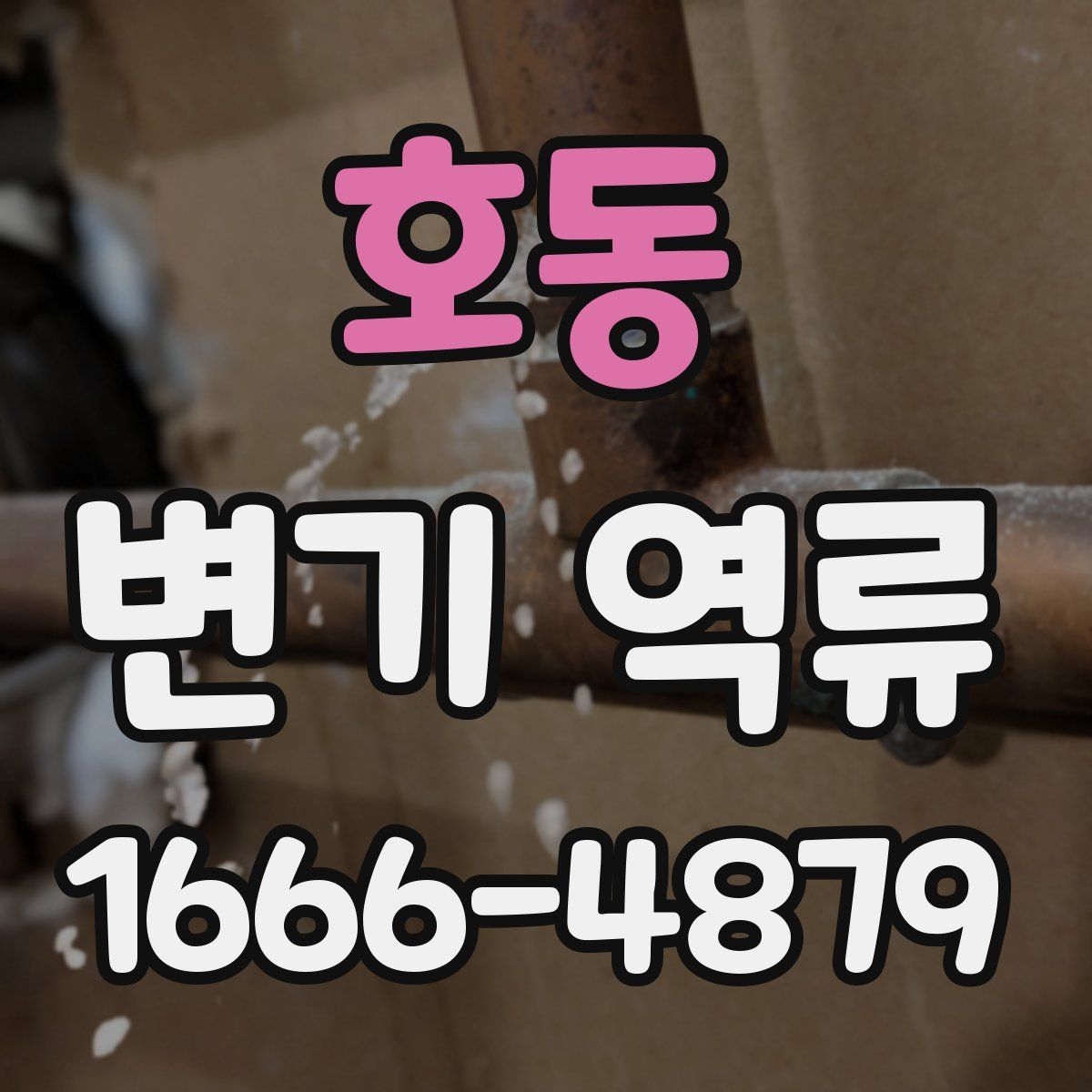 호동 변기 역류