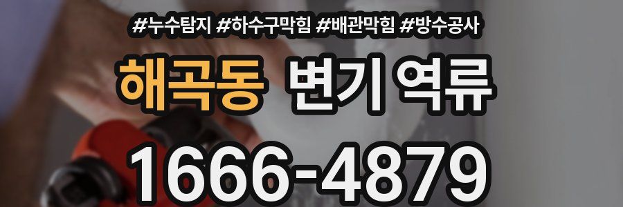 해곡동 변기 역류