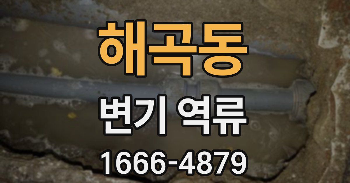 해곡동 변기 역류