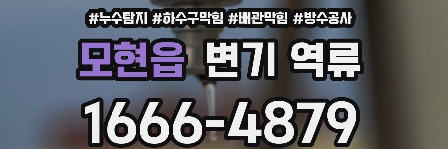 모현읍 변기 역류
