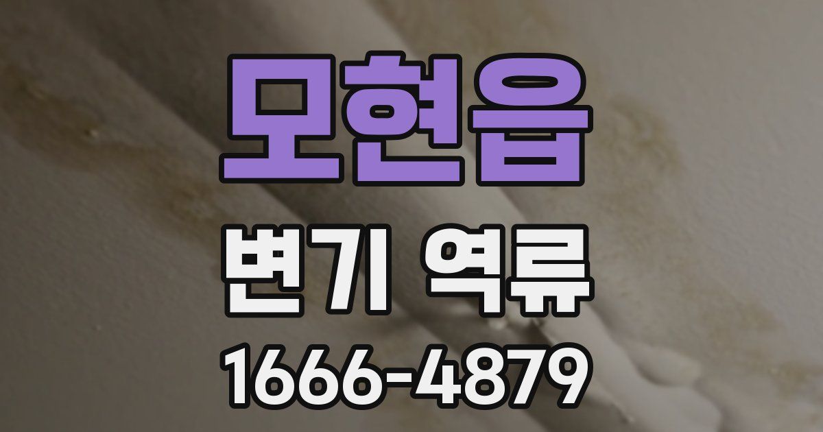 모현읍 변기 역류