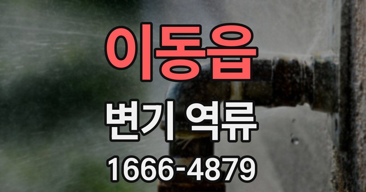 이동읍 변기 역류