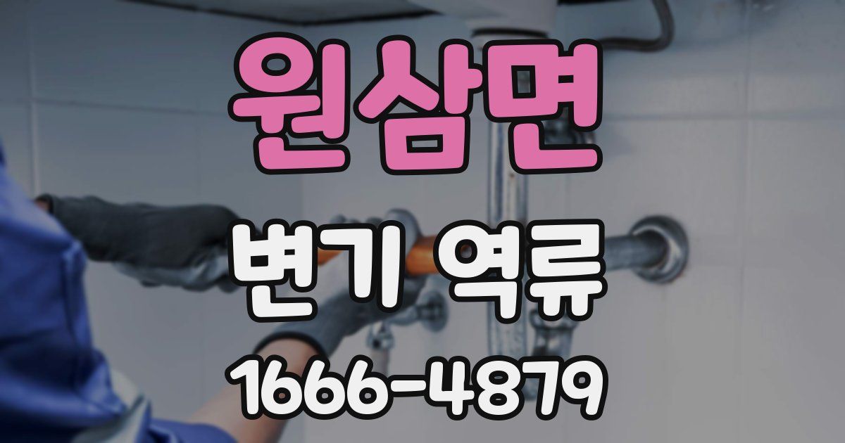 원삼면 변기 역류