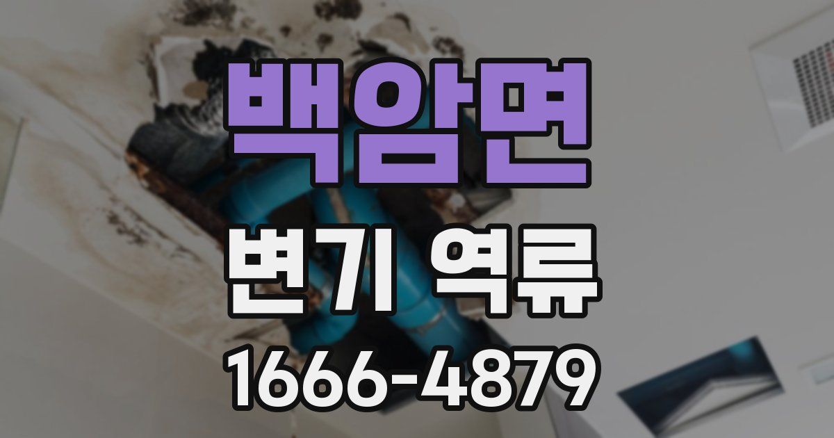 백암면 변기 역류