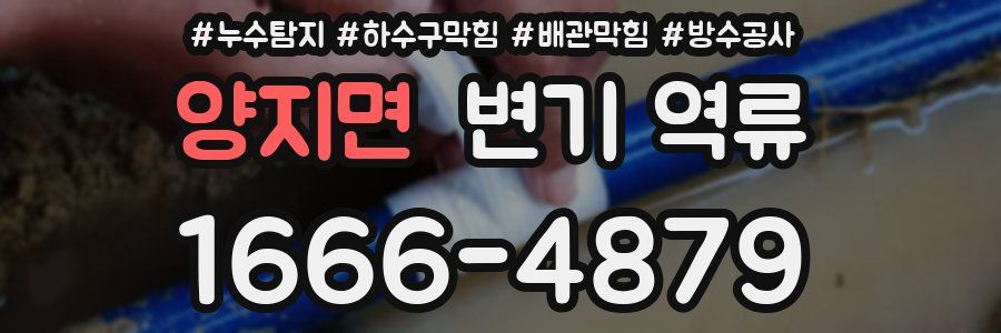 양지면 변기 역류