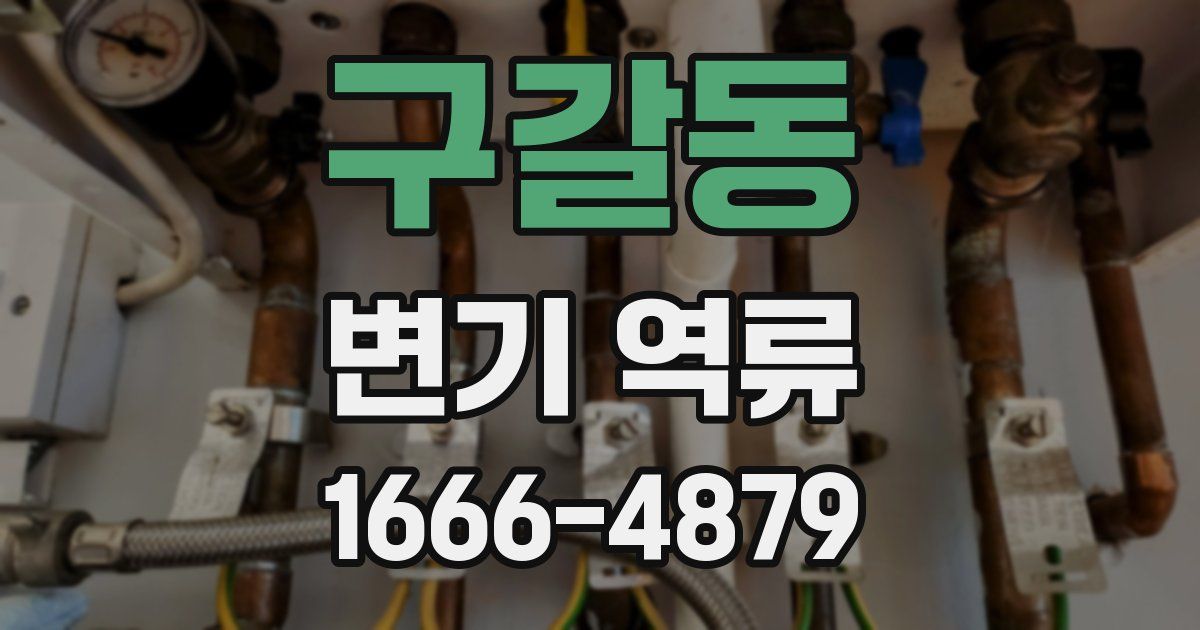 구갈동 변기 역류