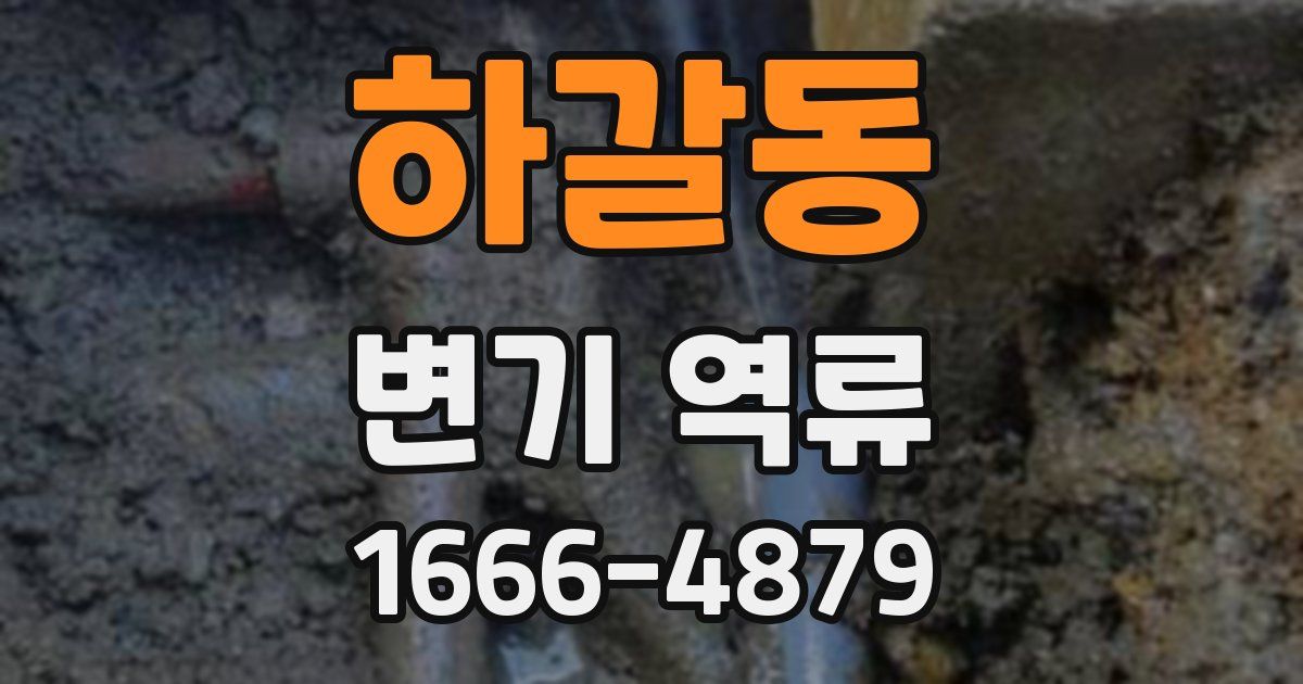 하갈동 변기 역류