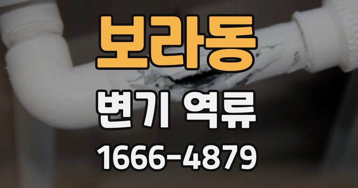 보라동 변기 역류