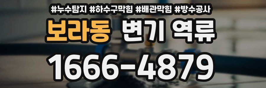 보라동 변기 역류