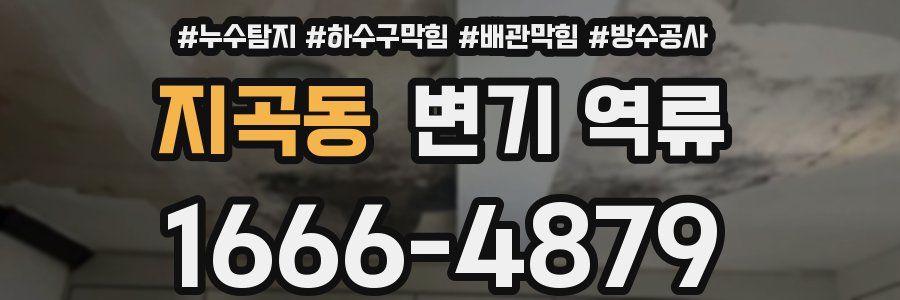 지곡동 변기 역류