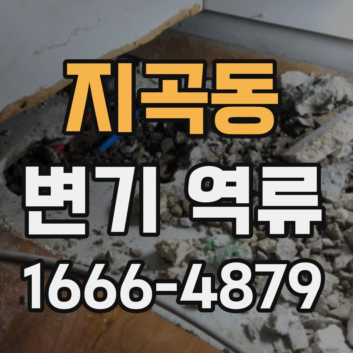 지곡동 변기 역류