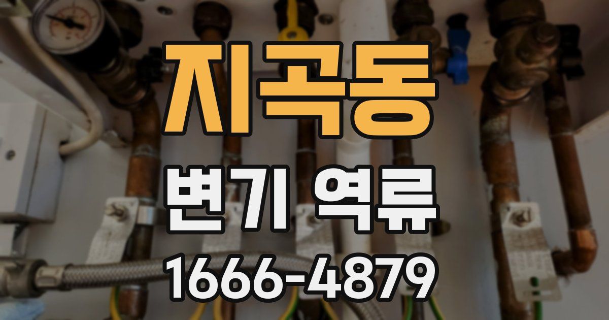 지곡동 변기 역류