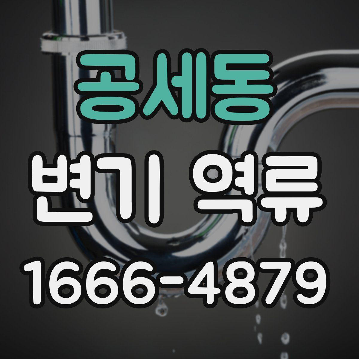 공세동 변기 역류