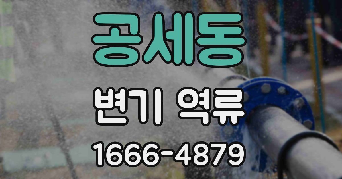 공세동 변기 역류