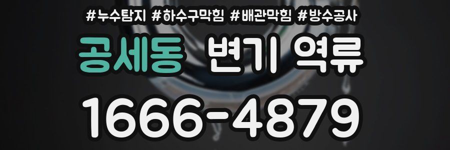 공세동 변기 역류