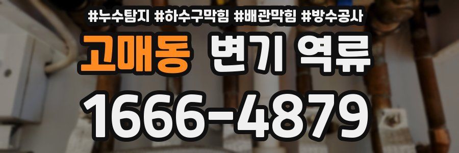 고매동 변기 역류