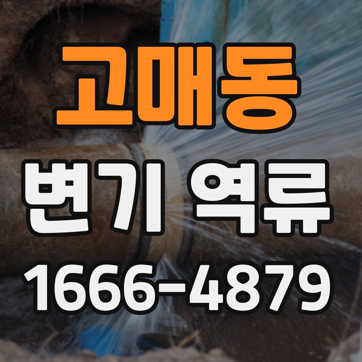 고매동 변기 역류