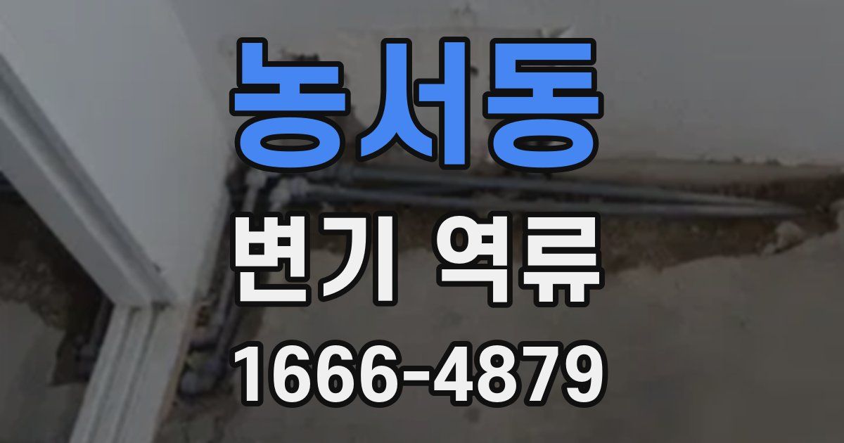 농서동 변기 역류