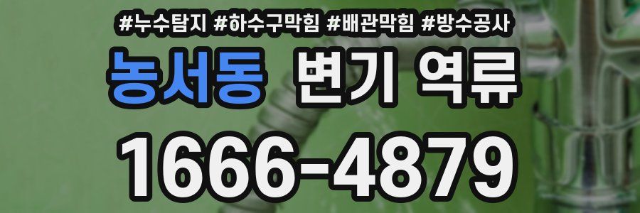 농서동 변기 역류