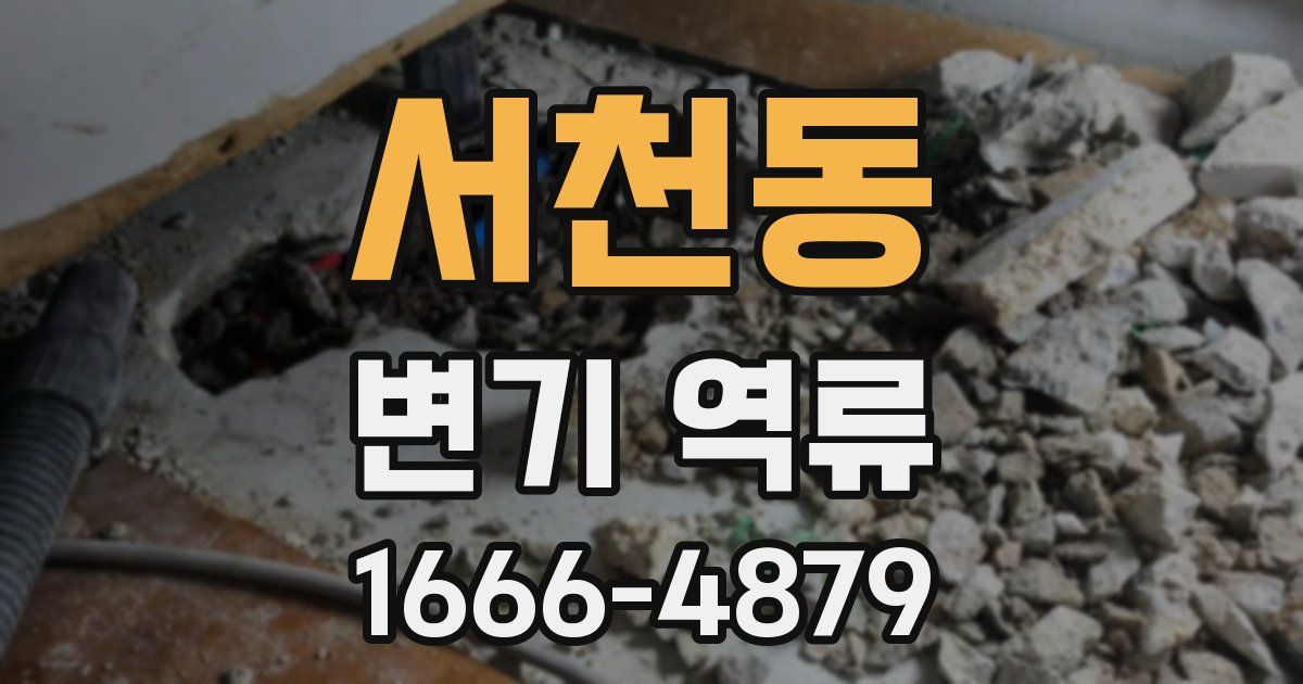 서천동 변기 역류