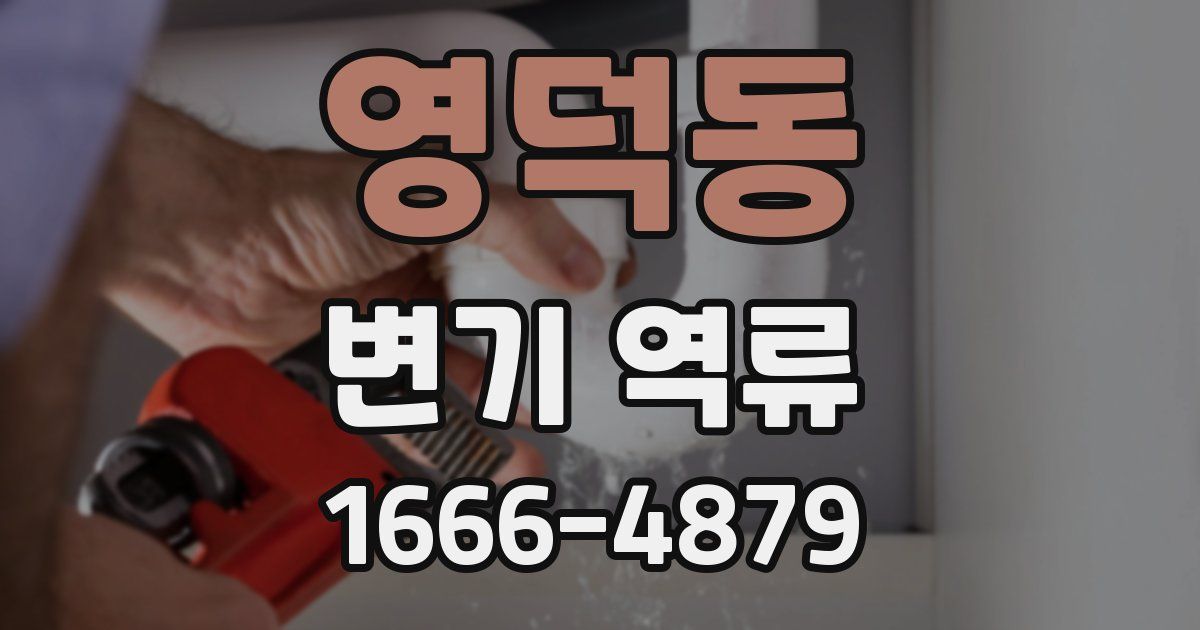 영덕동 변기 역류