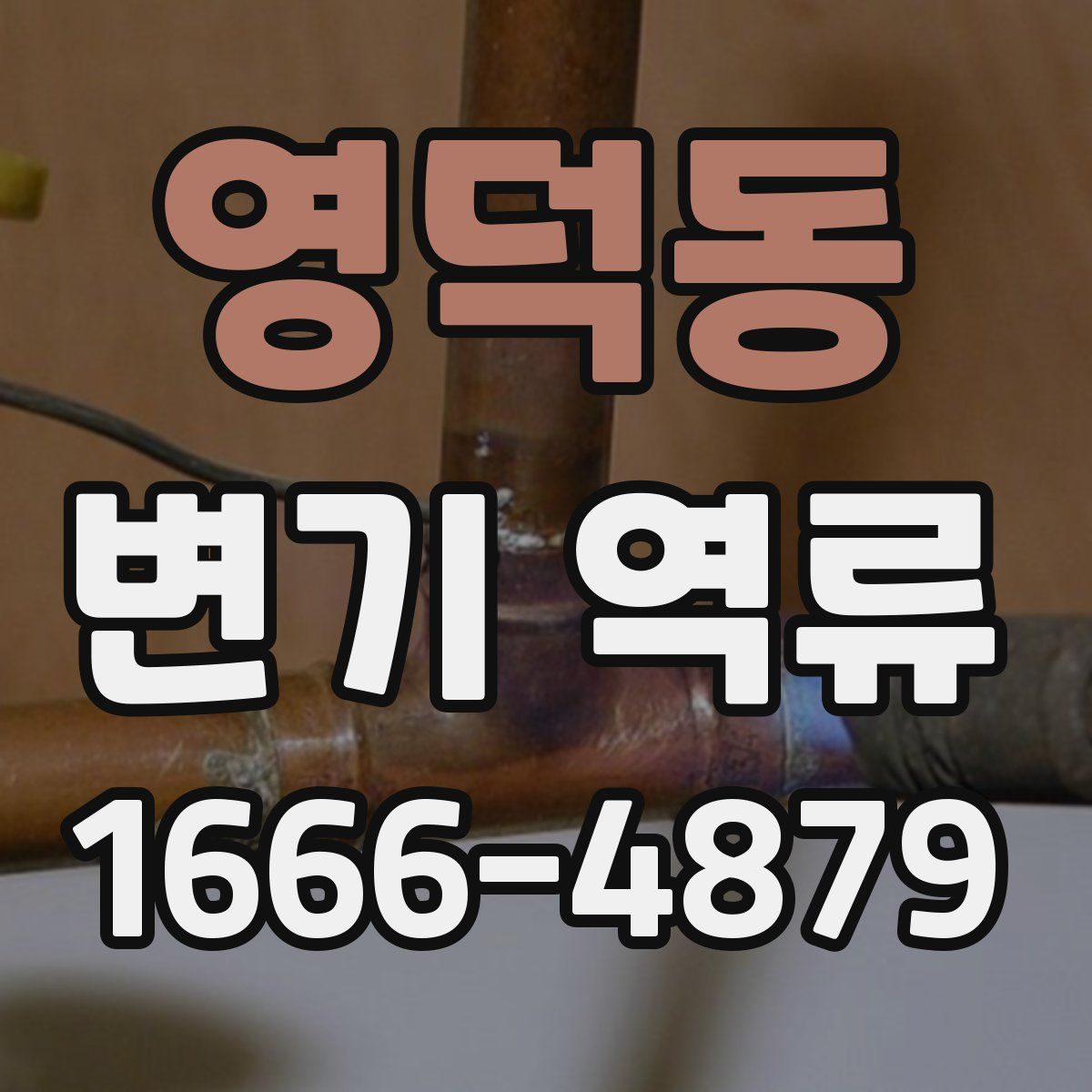 영덕동 변기 역류
