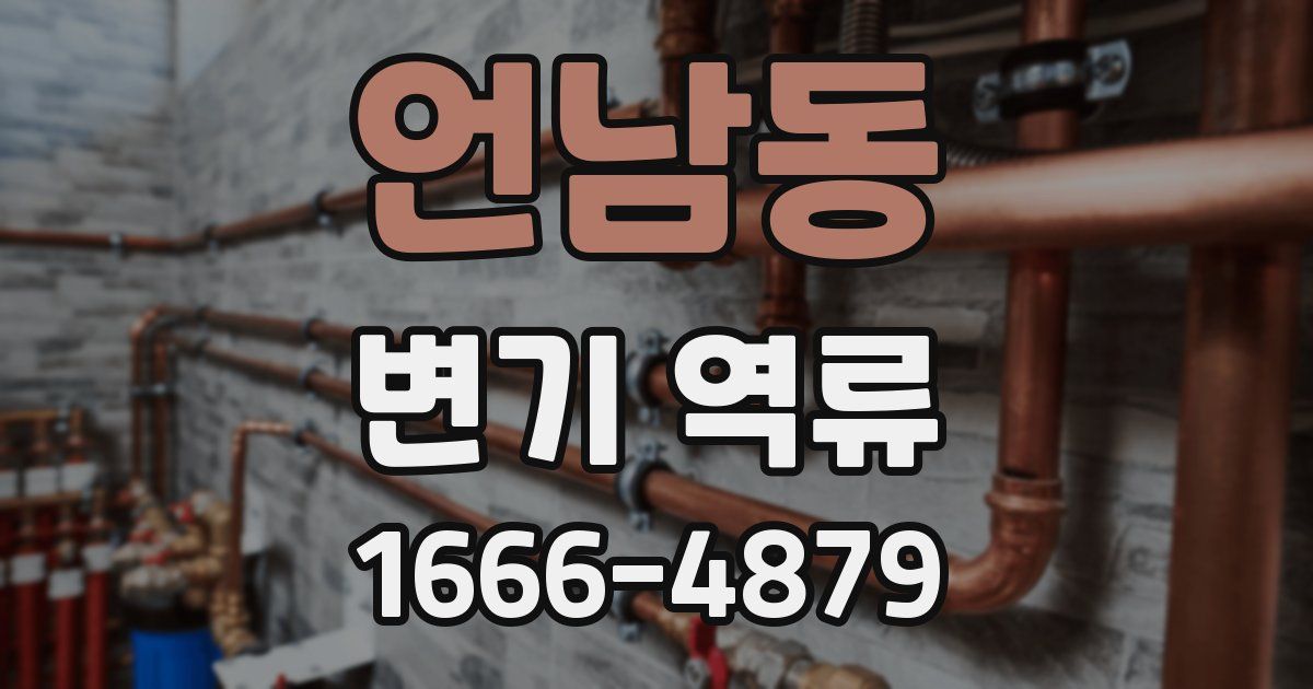언남동 변기 역류