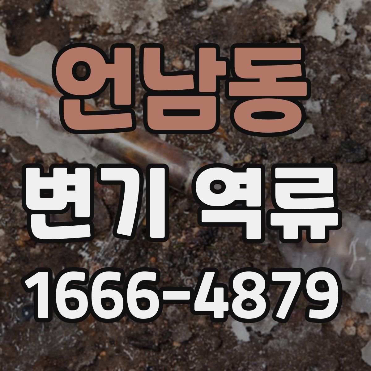 언남동 변기 역류
