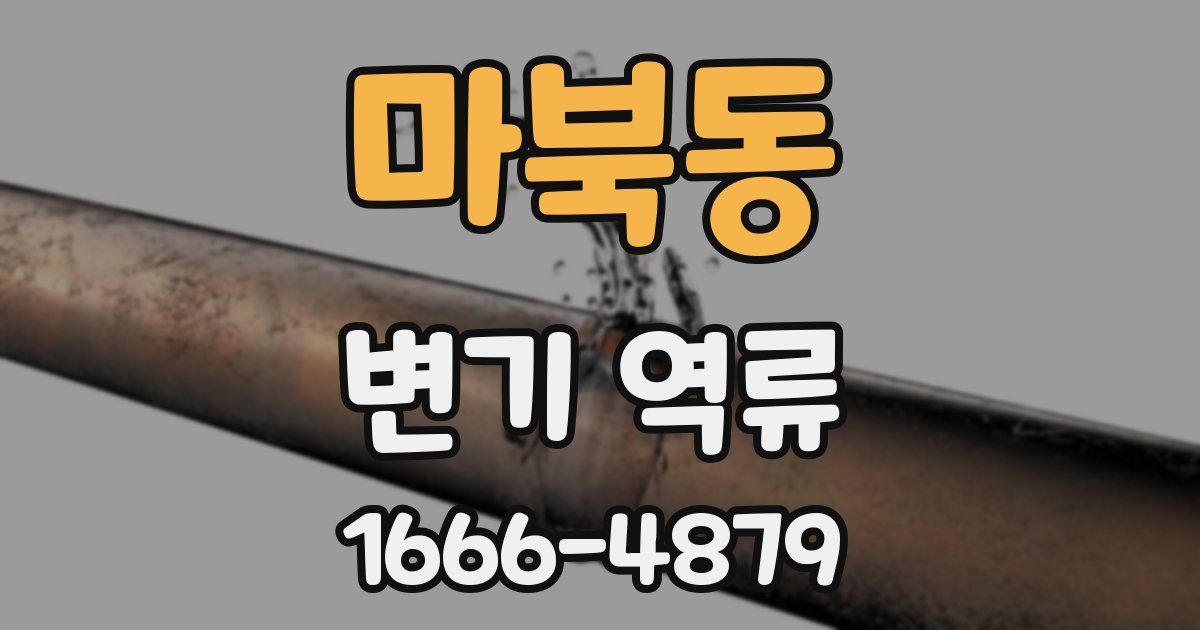 마북동 변기 역류