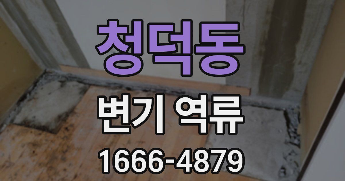 청덕동 변기 역류