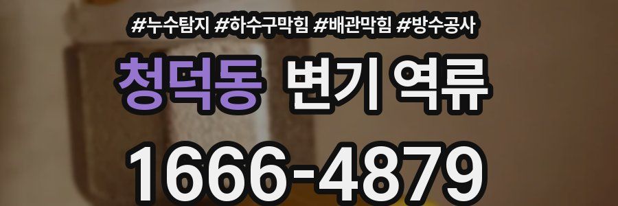 청덕동 변기 역류
