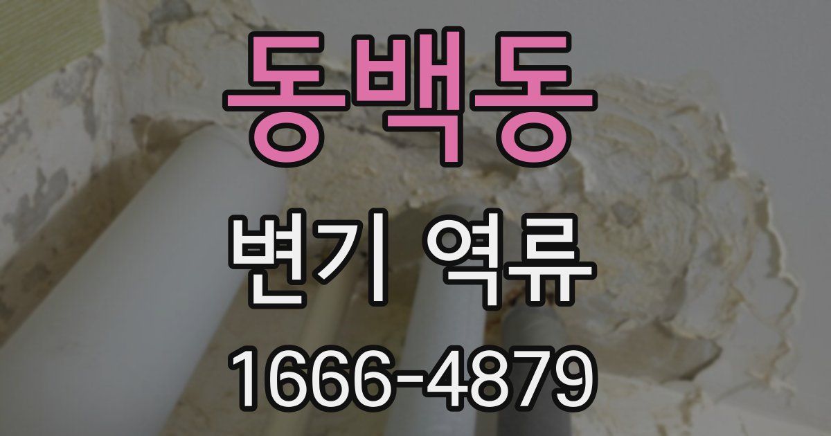 동백동 변기 역류