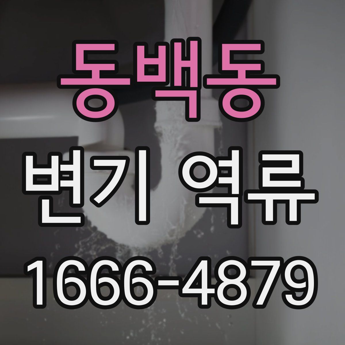 동백동 변기 역류
