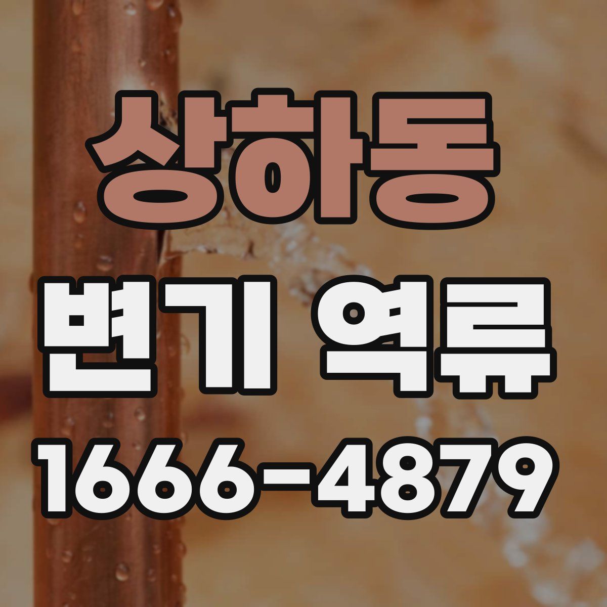 상하동 변기 역류