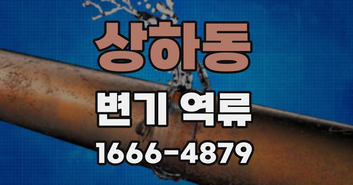 상하동 변기 역류