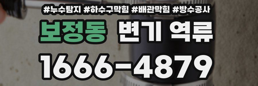 보정동 변기 역류