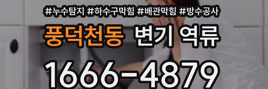 풍덕천동 변기 역류
